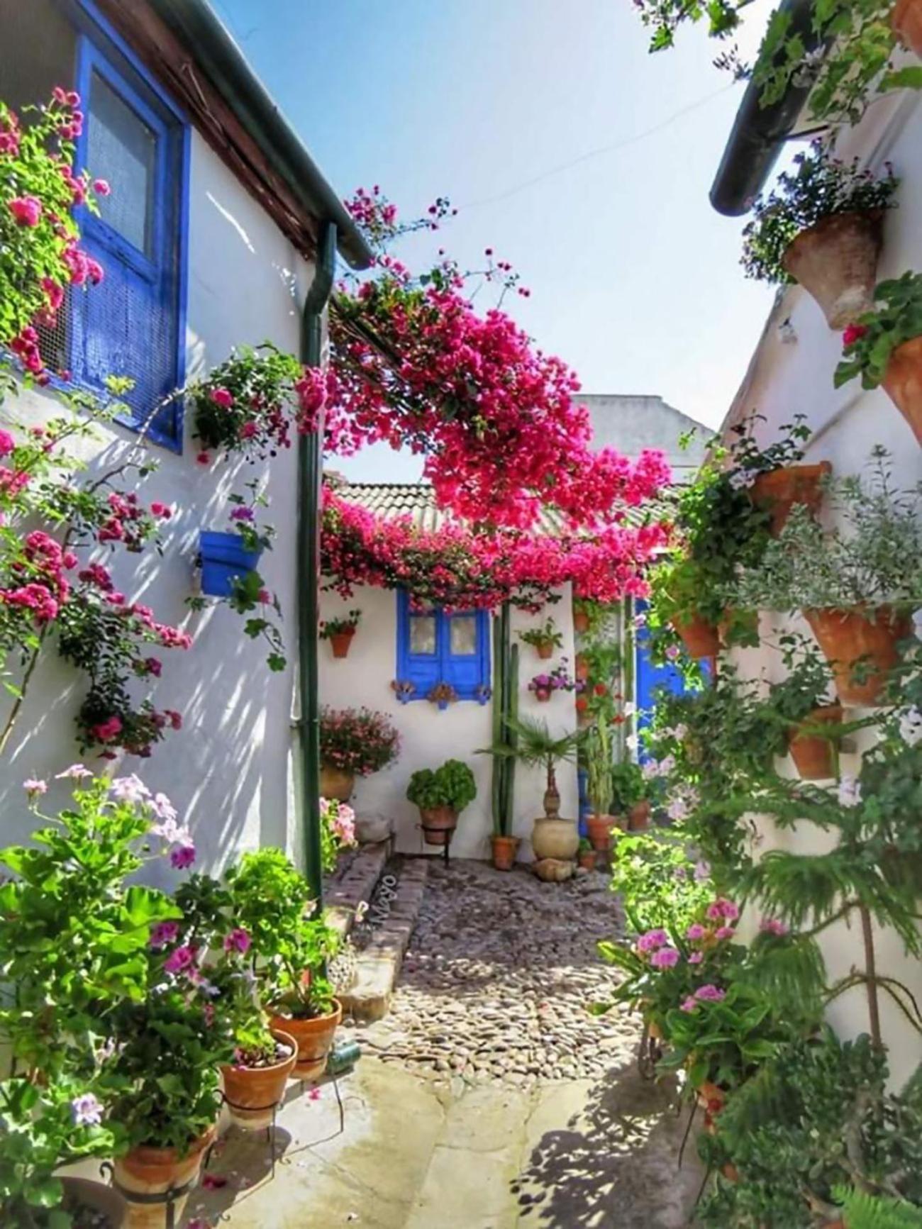 Nieves Viejas Los Patios Кордова Екстер'єр фото