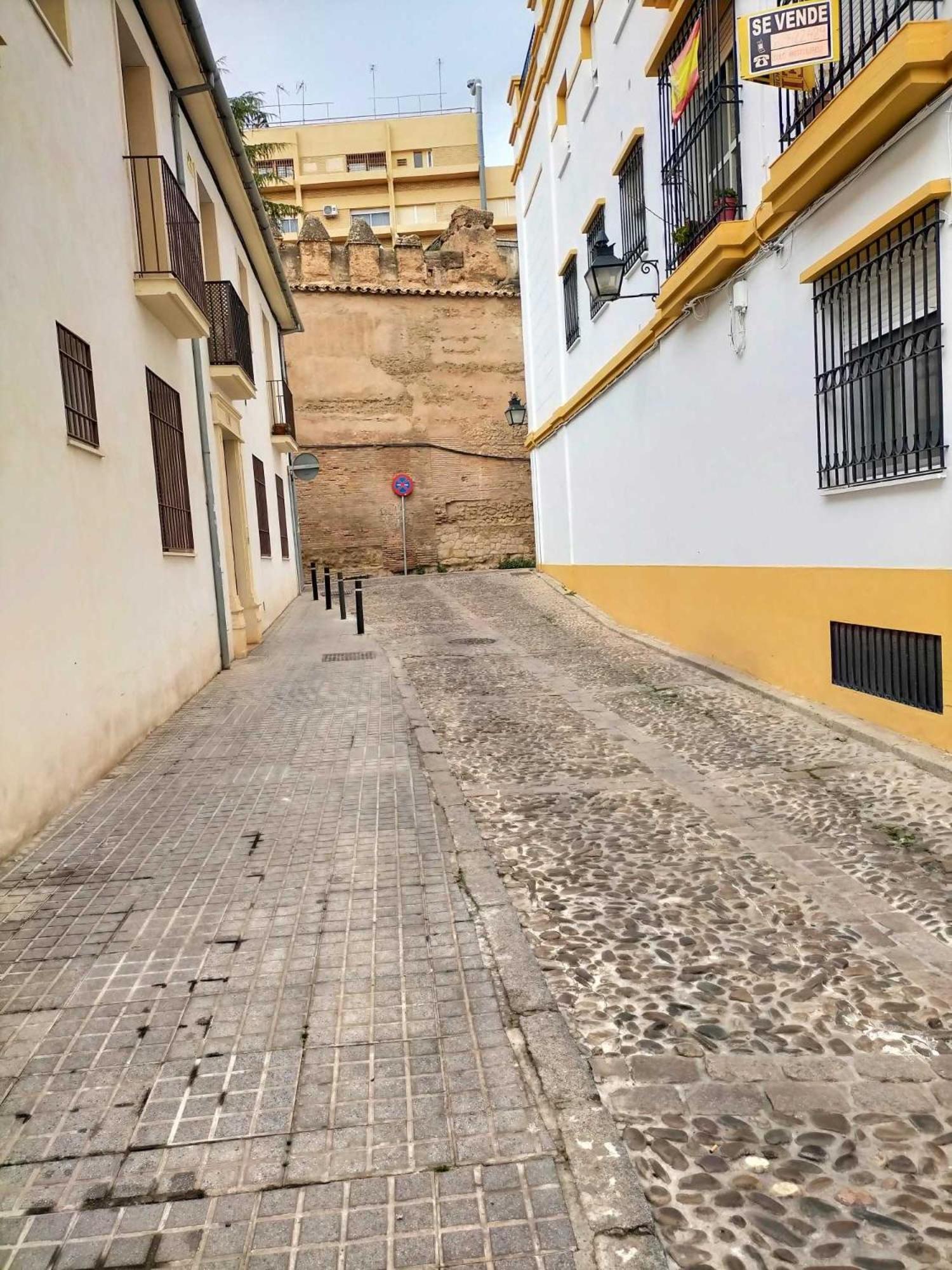 Nieves Viejas Los Patios Кордова Екстер'єр фото